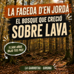 La Fageda d’en Jordà, bosque de hayas sobre una colada de lava en La Garrotxa